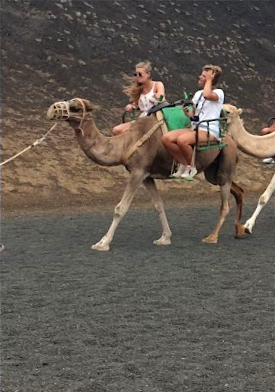 Óscar Noda (Alcalde de Yaiza): "Es imposible imaginar Timanfaya sin camellos, es como arrancar parte de la historia de la Isla de Los Volcanes"