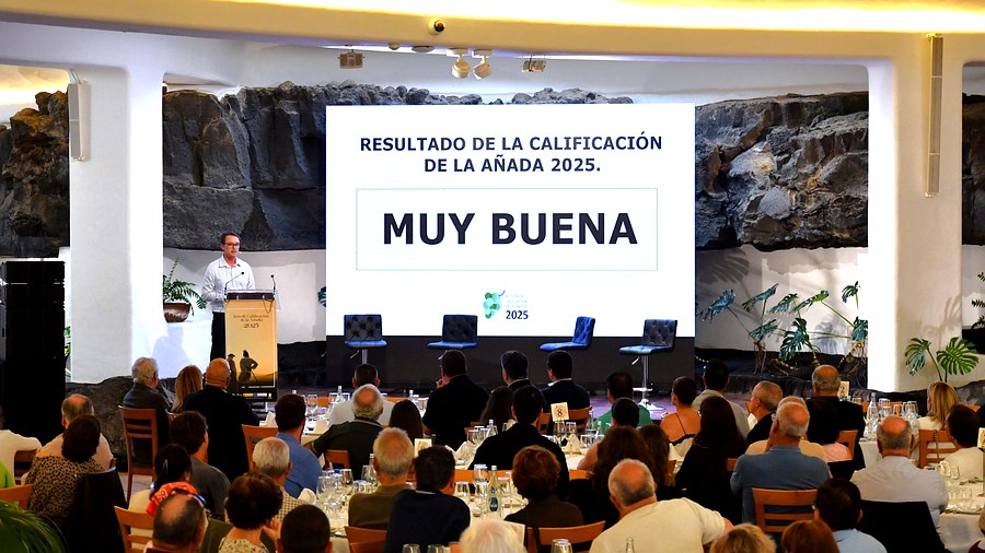 El vino de Lanzarote vuelve a responder: la añada 2025 es 'Muy Buena' pese a ser una de las cosechas más cortas