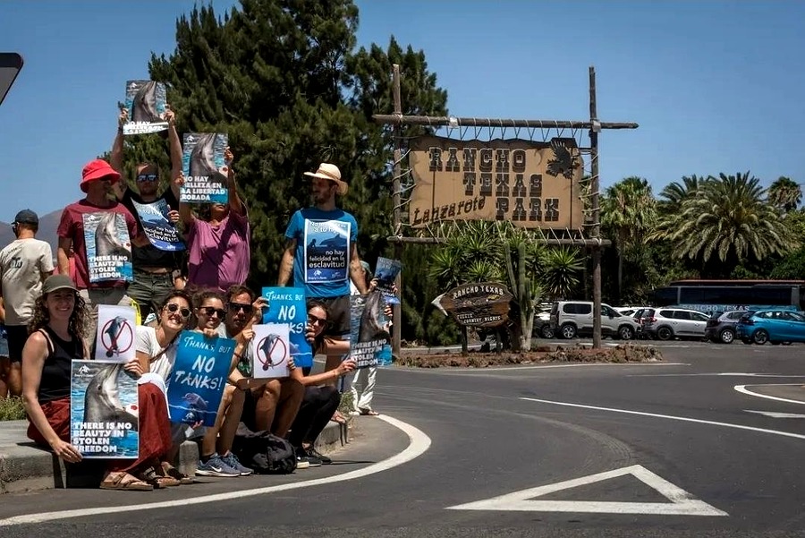 Puerto del Carmen acoge el 10 de mayo una concentración contra el cautiverio de cetáceos en parques marinos