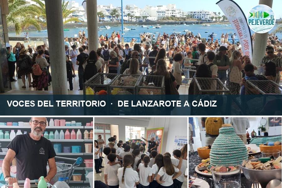 El congreso de microplásticos recordará en Cádiz al científico que murió en Arrecife