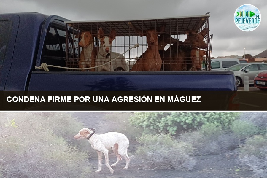Entraron en su finca amurallada, uno le tiró al suelo y le dio un puñetazo: condena firme para un cazador