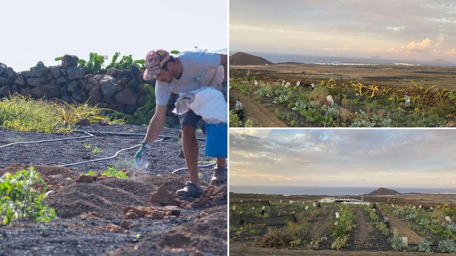 Vivir gratis en Lanzarote: un joven de Vitoria busca voluntarios para su finca de Tinajo a cambio de 12 horas a la semana