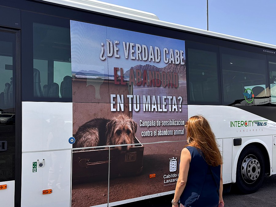 Una de las guaguas del transporte insular ya viniladas con la campaña del Cabildo contra el abandono animal, presentada este jueves en el Recinto Ferial / Foto: Cabildo de Lanzarote