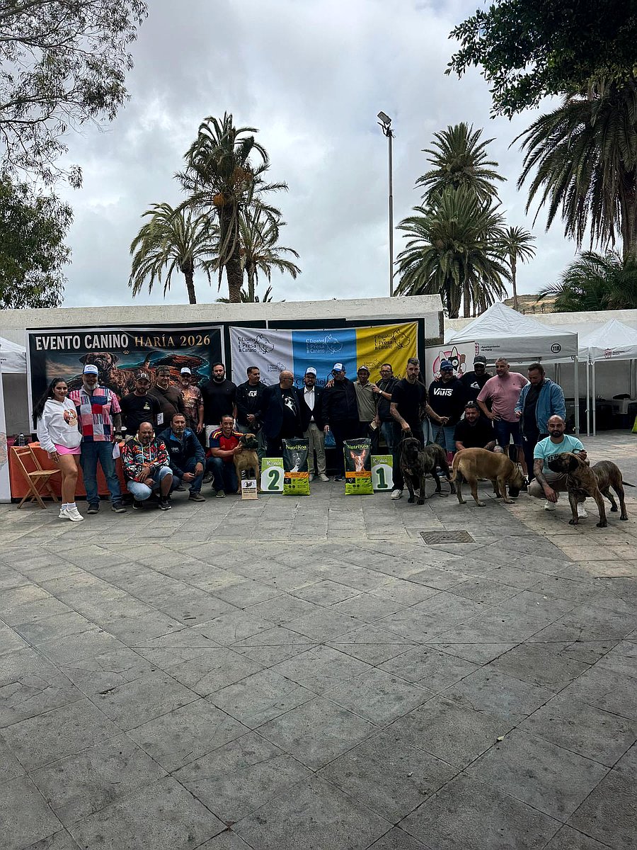Participantes y ejemplares de Presa Canario durante el Evento Canino Haría 2026, organizado con la colaboración del Ayuntamiento de Haría / Foto: Club Lanzaroteño del Presa Canario