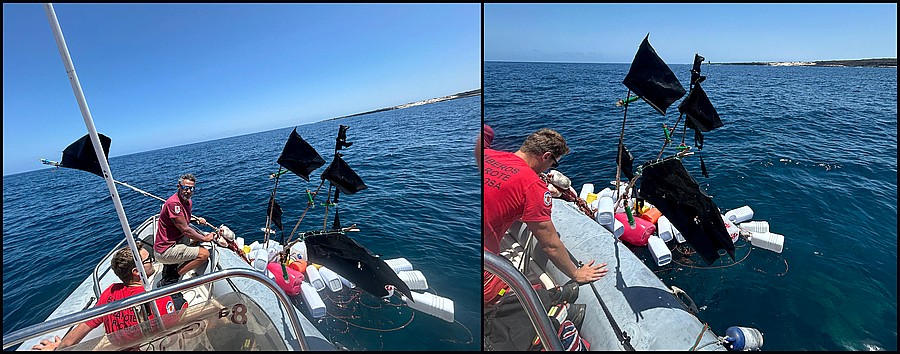 Efectivos del Consorcio de Seguridad y Emergencias de Lanzarote, durante la extracción de un palangre localizado cerca de la costa de la isla, en colaboración con la Reserva Marina / Foto: Consorcio de Seguridad y Emergencias de Lanzarote