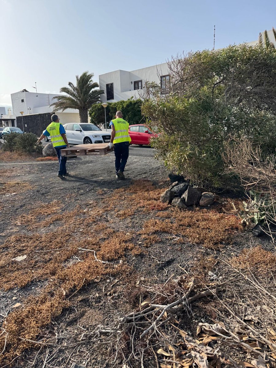 Dos operarios retiran un palé abandonado en un solar de la urbanización Playa del Cable, este miércoles. / Foto: Ayuntamiento de Arrecife