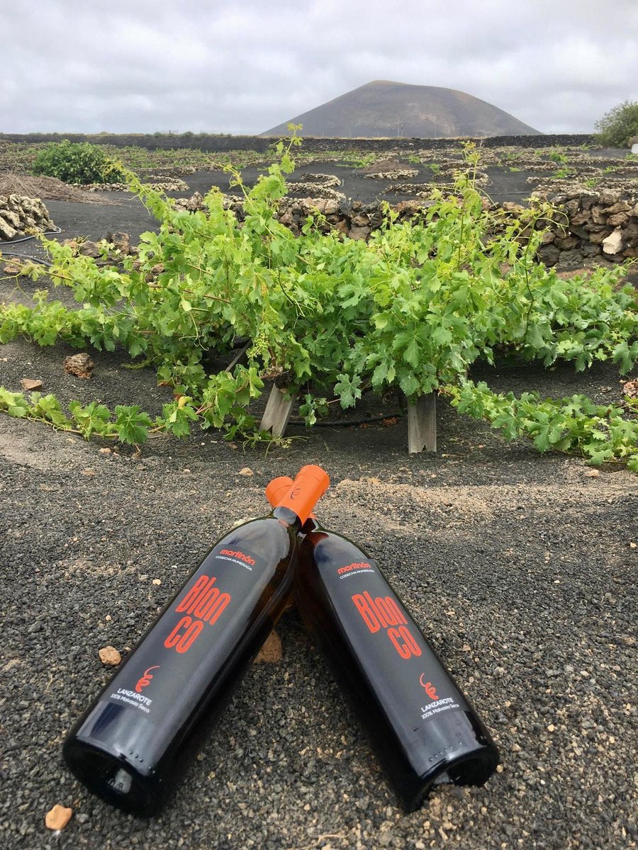 Dos botellas del Martinón Blanco Seco, Malvasía Volcánica 100%, sobre el rofe de La Geria con un volcán de fondo / Foto: Bodegas Martinón