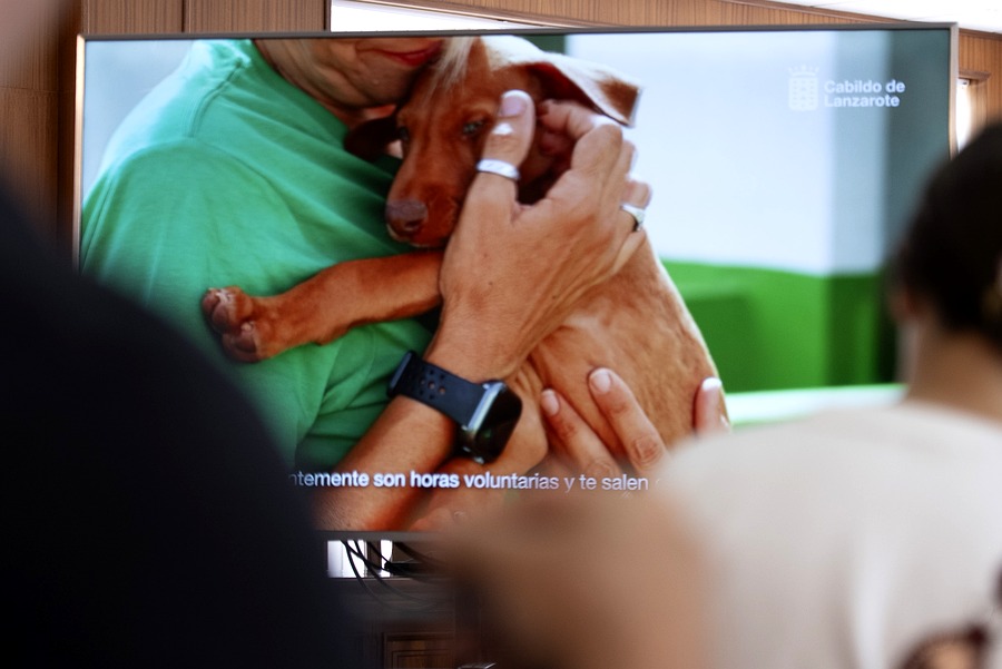 Lanzarote celebra mañana su primera Gala de Bienestar Animal para honrar a quienes cuidan de los animales