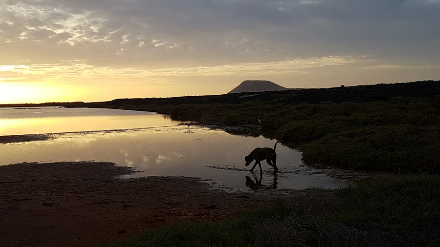 Este miércoles el cielo de Lanzarote será tuyo: 25 grados y sin nubes