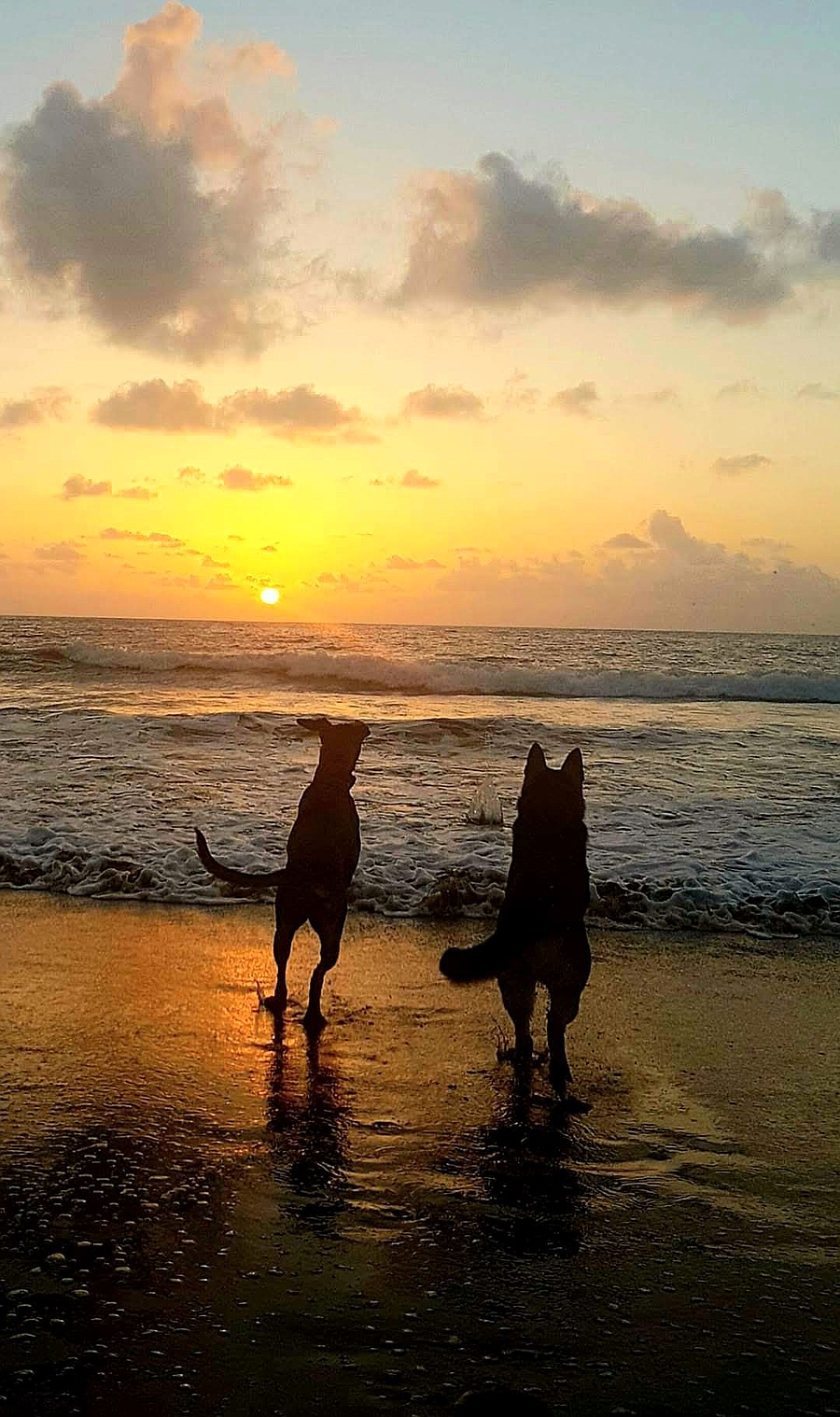 Piluka y Tamia, al amanecer, en la playa de Arrieta — una de sus favoritas del norte de Lanzarote / Foto: Elpejeverde.com