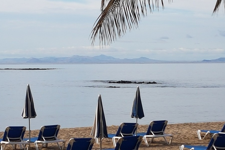 Hamacas y sombrillas en la playa de El Reducto en una imagen de archivo / Foto: Elpejeverde.com