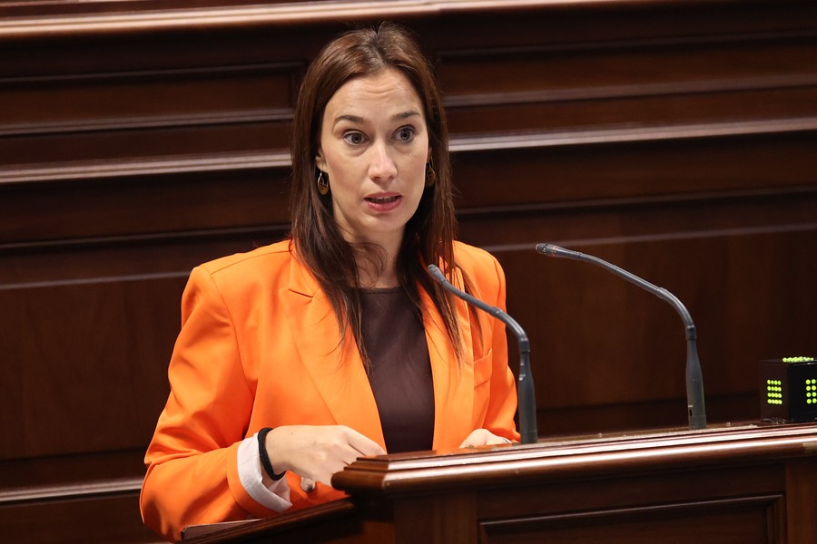 Nira Fierro, secretaria de Organización del PSOE Canarias, durante una intervención en el Parlamento de Canarias (archivo) / Foto: PSOE Canarias