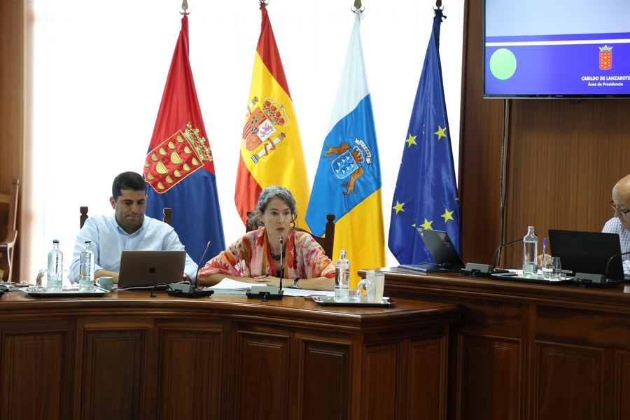 Ariagona González, portavoz adjunta del Grupo Socialista, durante un pleno del Cabildo de Lanzarote (archivo) / Foto: PSOE Lanzarote
